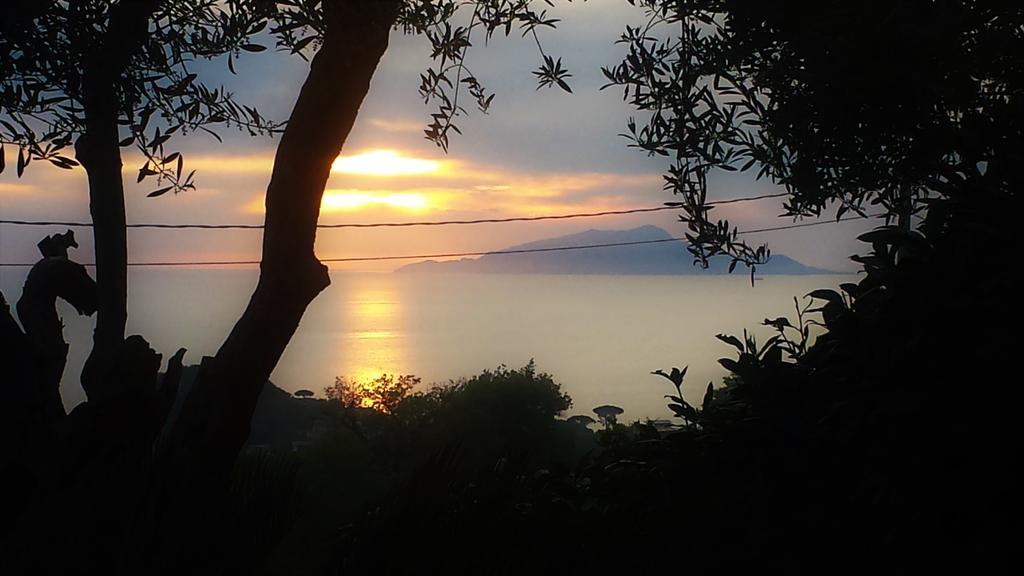 Villa Talea SantʼAgata sui Due Golfi Exteriör bild
